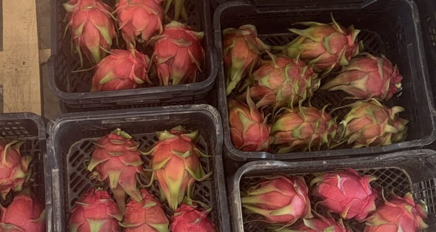 Organic farms avoid toxic inputs, improve soil health, grow clean, sustainable food that supports nature.