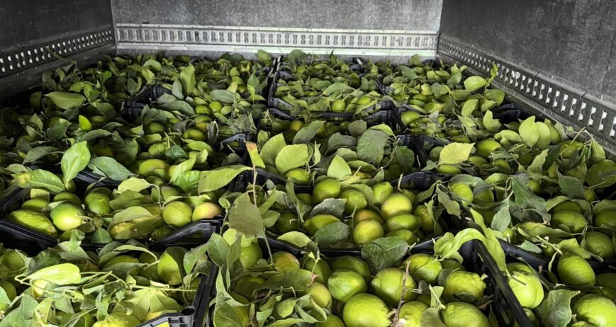 Organic farms avoid toxic inputs, improve soil health, grow clean, sustainable food that supports nature.